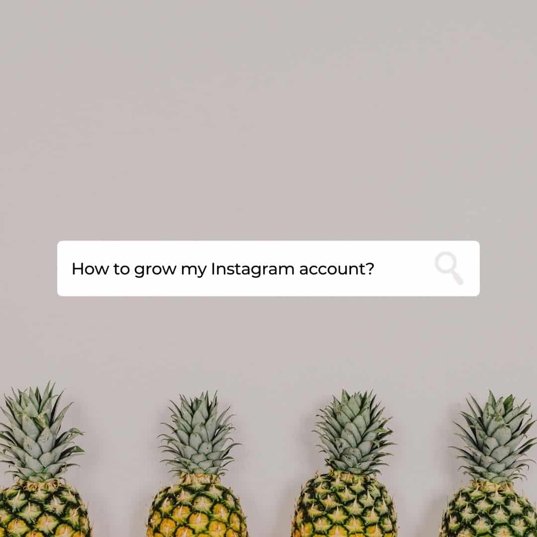 Instagram Canva Templates Media Mojo Design